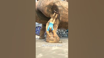 A Man Trapped In A Dinosaur Statue