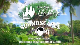 Disneys Animal Kingdom l Discovery Island l Soundscapes
