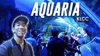 🦈🐟Must-visit Aquaria in KLCC Kuala Lumpur! Sharks, sting rays and more!