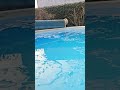 Pool ice removed