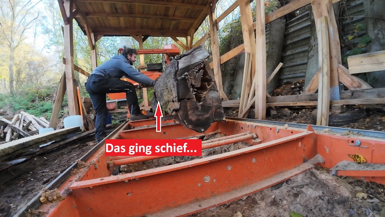 Lebensgefahr am Sägewerk! Falsch gefällt und wertlos? Kirsche auf dem Sägewerk!