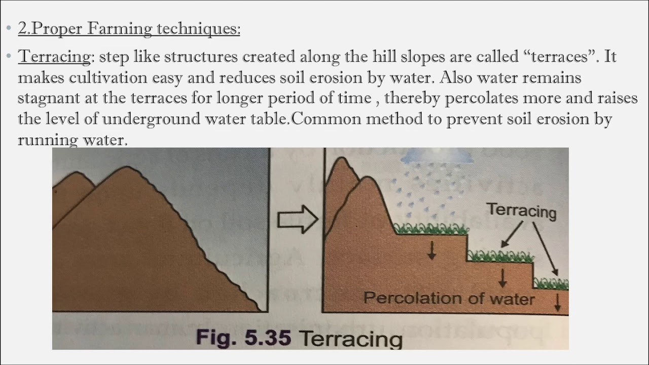 Soil Conservation Class X Geography YouTube