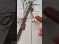 Urban Sketching: Capturing the Beauty of an Electricity Pole 🎨✨ #WatercolorArt