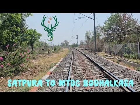 #Satpura Tiger Reserve to #MTDC Bodhalkasa 360 KM 🐅🐾