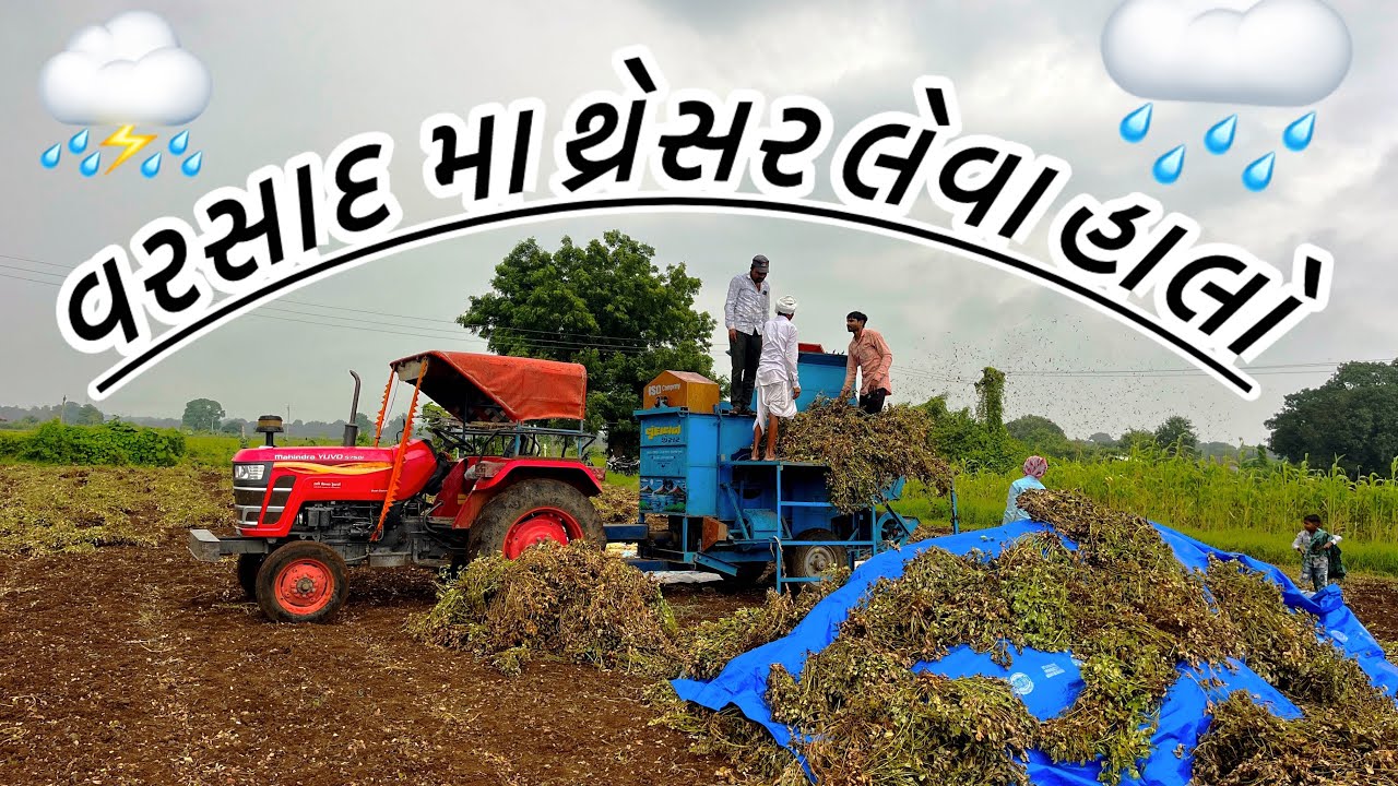 કમોસી વરસાદ | hadwok village of farmers 