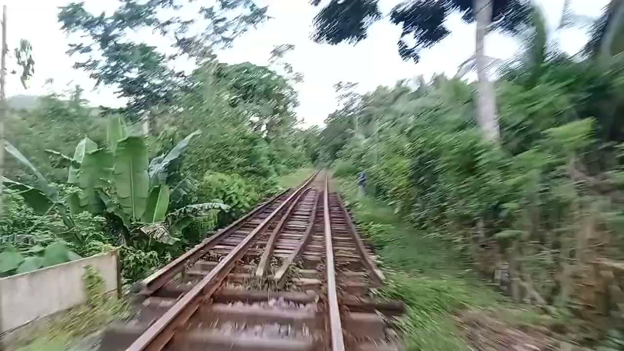 TROLLEY RIDE LUPI VIEJO-LUPI NUEVO 