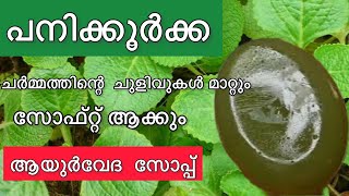 അസഖങങൾ പറപറതത ആയർവദ കടട ഈ സപപ ഒര വടട ഉണടകക നകക Healthtips