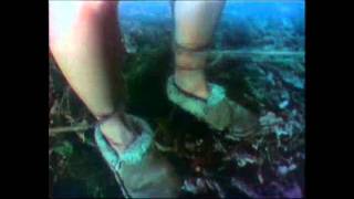 Evil Dead Tv Spot 3