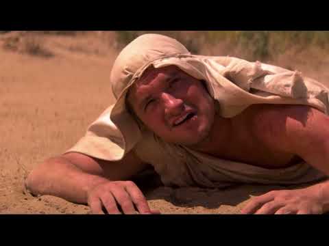 Future Man made by Seth Rogan featuring Derek Wilson as Wolf.