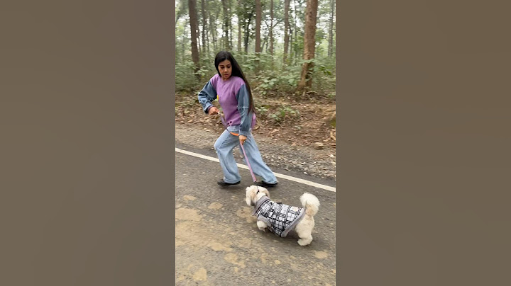 Tona Totka Kiya Hua Hai Jungle Mai 😳 #jungle #haunted #horror #sanjhalikavlog #minivlog #blackmagic