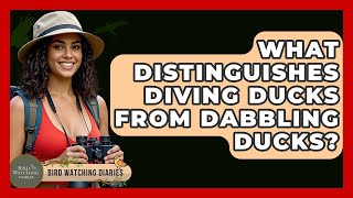 What Distinguishes Diving Ducks From Dabbling Ducks? - Bird Watching Diaries