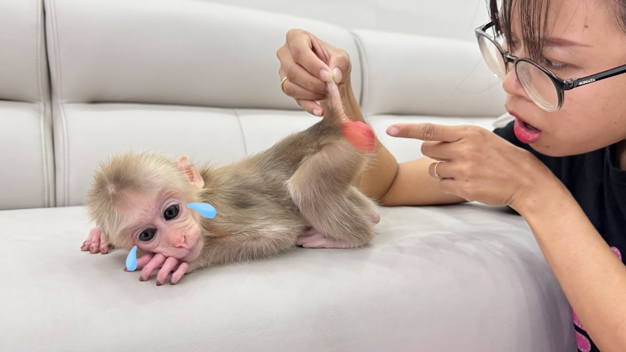 So loving: Mom takes good care of Lucky when she is itchy