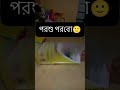 আমার পড়ালেখার বর্তমান অবস্থা 🙂#hsc26 #study #foryou