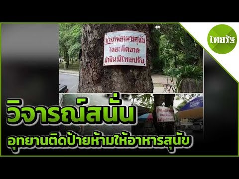 วิจารณ์สนั่น อุทยานติดป้ายห้ามให้อาหารสุนัข | 03-06-62 | ข่าวเช้าไทยรัฐวันหยุด