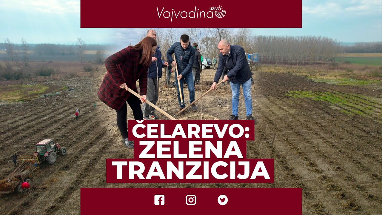 Čelarevo: Zelena tranzicija 