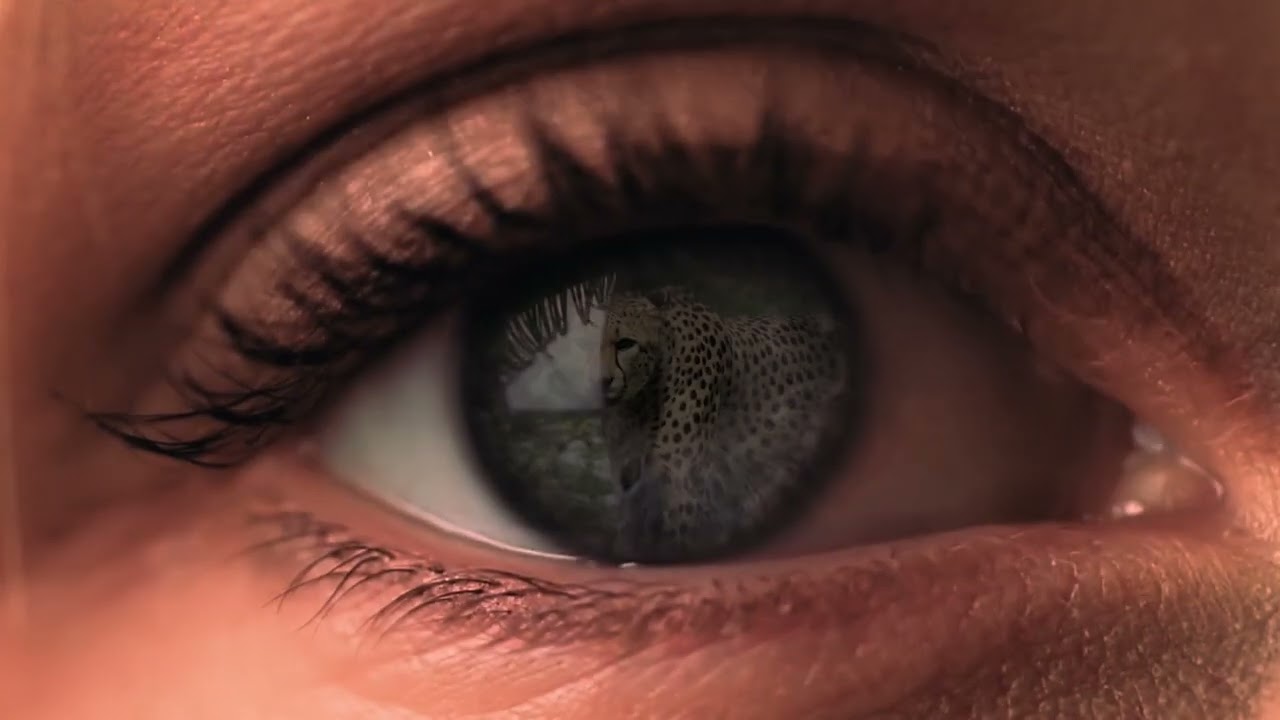 Luce forte d'ombra 📓 Booktrailer