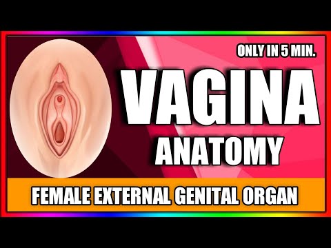 Video: Vagina: Definition, Anatomi, Funktion, Diagram Och Förhållanden