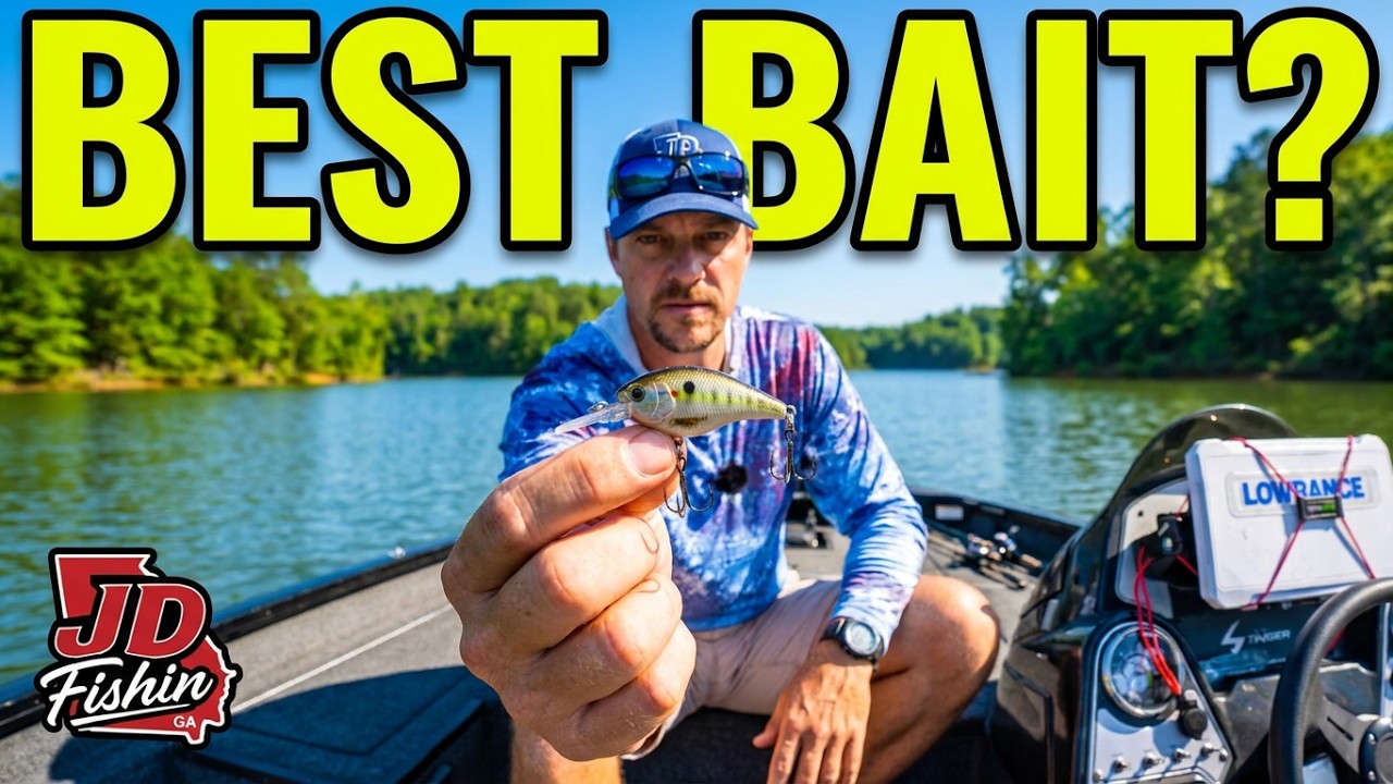 Could These Be the BEST BAITS for My Next Trip?