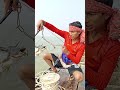 Shark Fishing by Hook Using Powerful Fish Bait  #fishing #fishinglife #hookfishing #foryou  #shorts