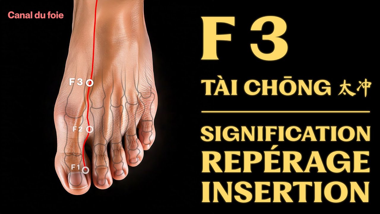 Point d'acupuncture : F 3 (tài chōng 太冲) signification, repérage, insertion