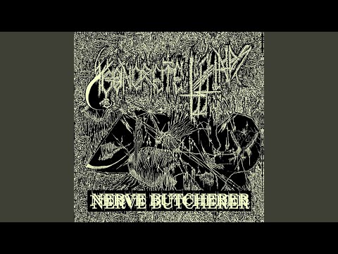 Nerve Butcherer artwork
