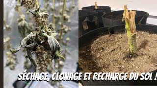 JDB#250: Clonage et Réutilisation du Sol !