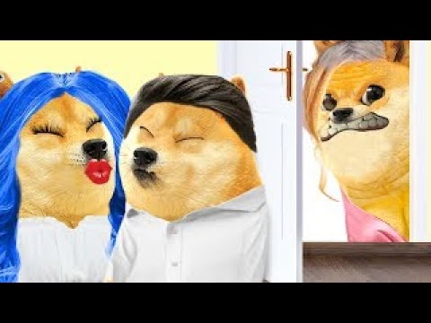 Video: Me rompí con mi novio porque odiaba a mi mascota