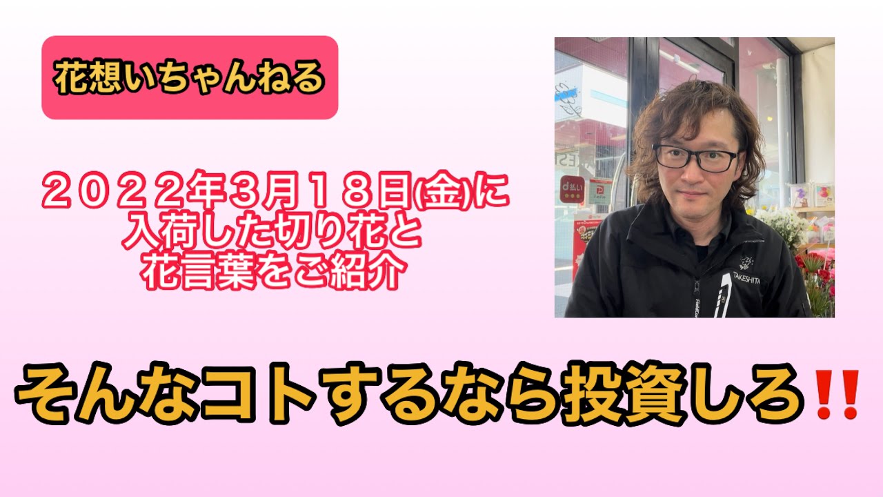 そんなコトするなら投資しろ ２０２２年３月１８日 金 に入荷した切り花と花言葉をご紹介 Youtube
