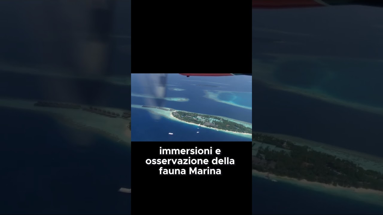 L'Arcipelago delle Isole Bazaruto Un Paradiso per Subacquei