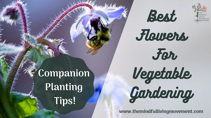 The Best Flowers For Vegetable Gardens - Organic Gardening Tips!