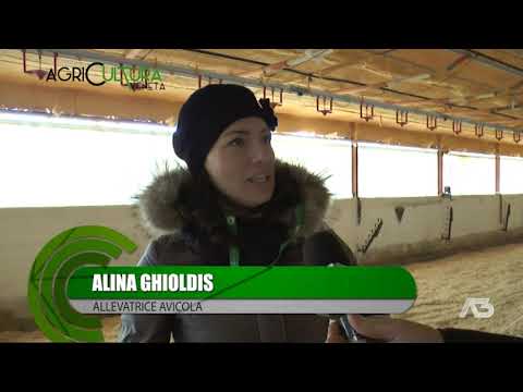 AGRICULTURA VENETA  | 16/01/2022 20:06