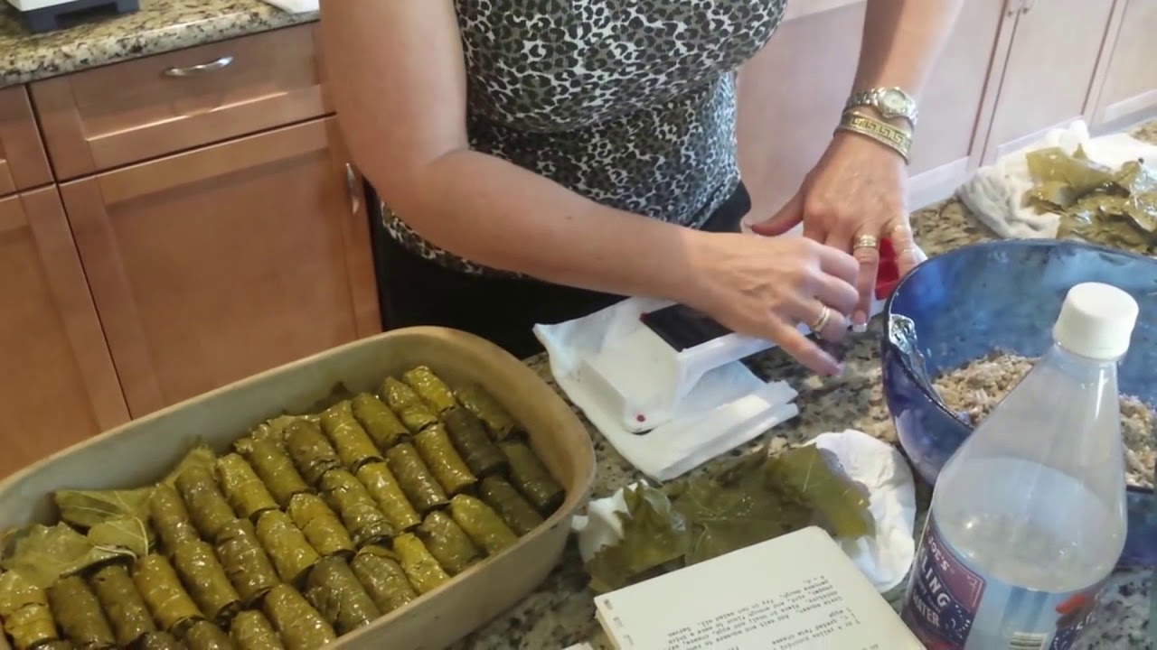 Appareil pour nem maison.