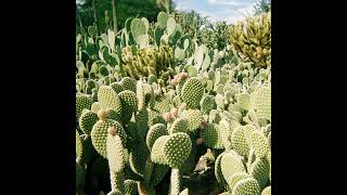 Secret B It Takes Two