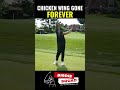 Chicken Wing Gone Forever tip!
