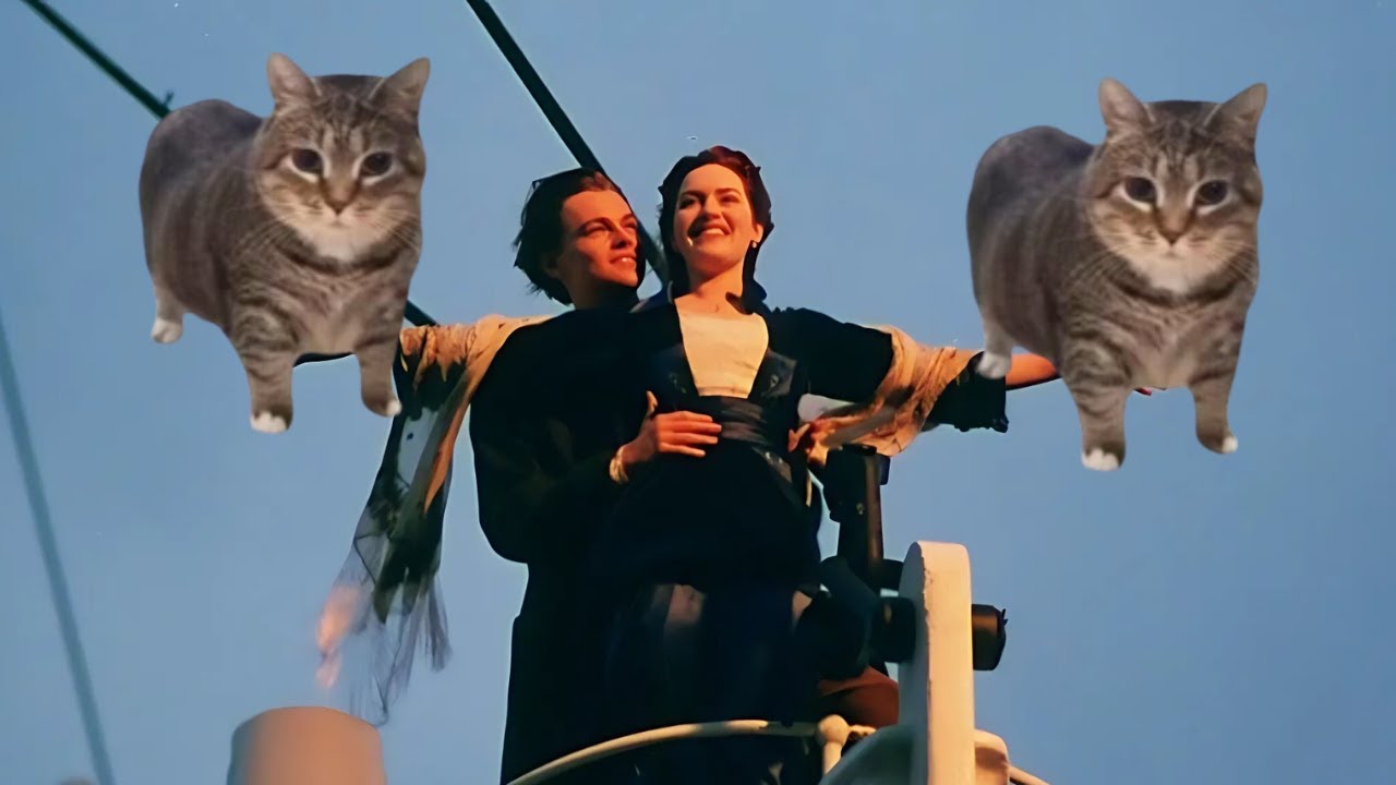 OIIAOIIA Spinning Cat X Titanic - My Life Will Go on 🚢