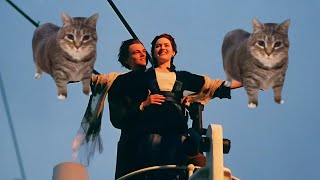 Download Lagu OIIAOIIA Spinning Cat X Titanic - My Life Will Go on 🚢 MP3