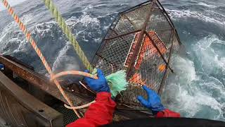 Alaska Pot Cod 2021