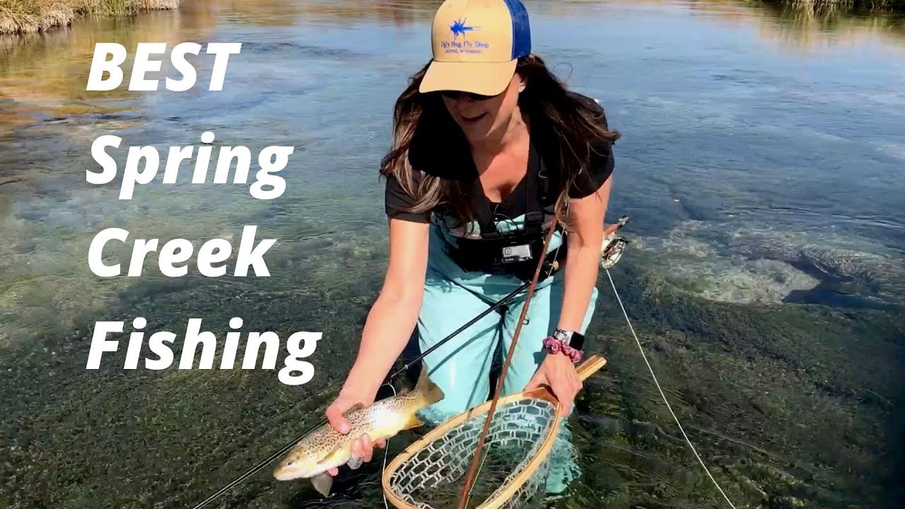 BEST Spring Creek Fly Fishing YouTube