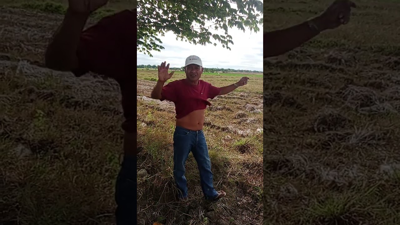 baka o pera 🐂 o 💵 uncle ado ng Talogtog Nueva ecija 😊✌️❤️ please support may YouTube videos godbless