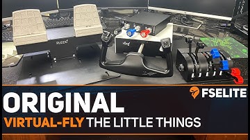 The Little Things with Virtual Fly: The FSElite Original