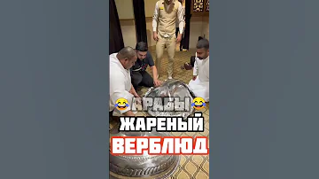 арабы: жареный верблюд #арабы #прикол #приколы #short #арабский #верблюды #приколы2022 #приколыс