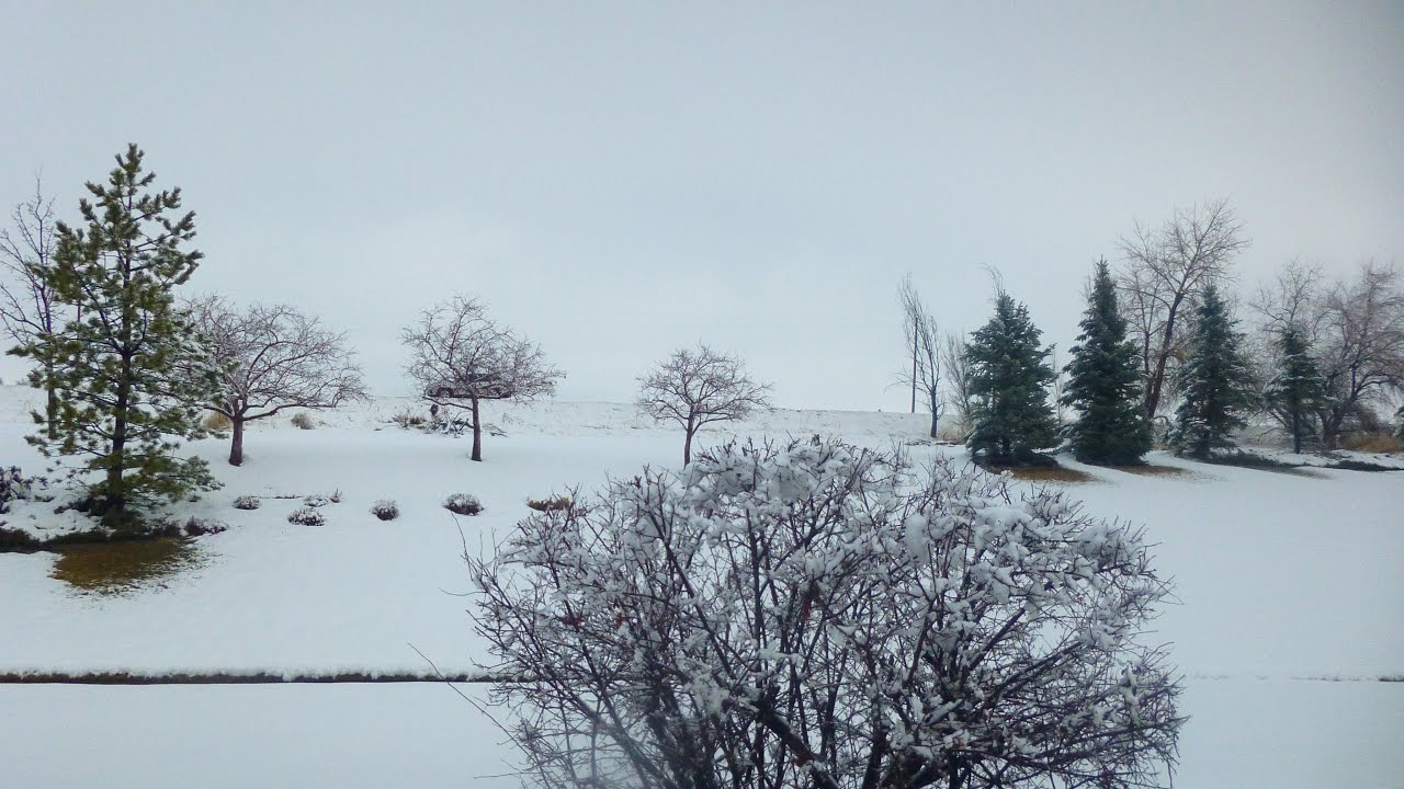 Wandering & Wondering in Winter -  Decks I Want to Use in Winter 2026