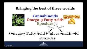 Neuromodulatory Role of Omega-3 Endocannabinoids: Gut-Brain Axis and Microbiome - Illinois