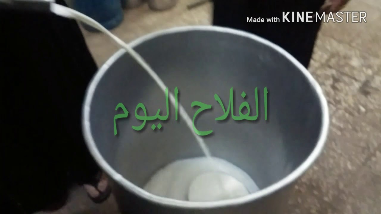 فراز اللبن فى أحد القرى المصرية