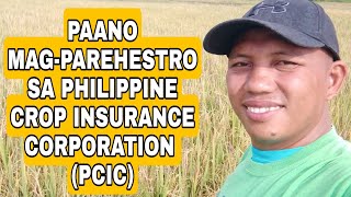 PAANO MAG-PAREHESTRO SA PHILIPPINE CROP INSURANCE CORPORATION (PCIC)