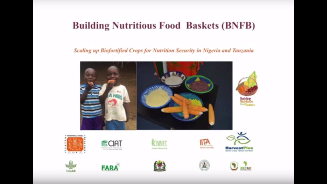 Building Nutritious Foods Baskets (BNFB/CIP) Project’ YouTube