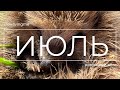 Вкладыш в спальный мешок Northland | Кроссовки Humtto | Плита кемпинговая Naturehike