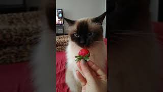 VID 20180427 103747