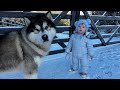 Adorable Baby Boy And Husky Play In Snow! Cats Too! (Cutest Ever!!)