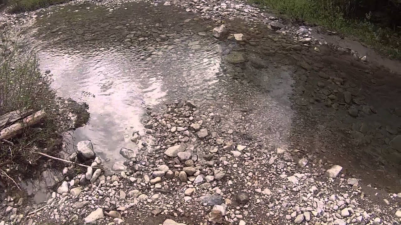 Bill's Tour Divide Banff to Rooseville